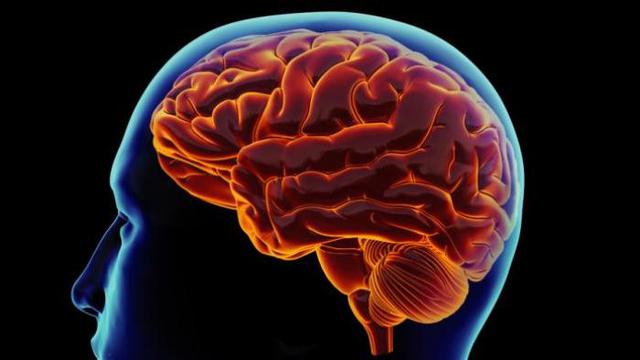Beberapa cara Mempertajam Otak dan Mencegah Pikun