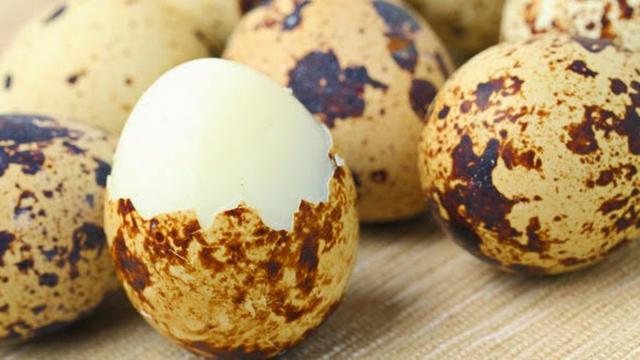 Sering Dianggap Berbahaya,Ternyata Telur Puyuh Memiliki Manfaat Yang Baik Juga